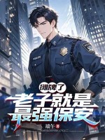 摊牌了：老子就是最强保安章节列表