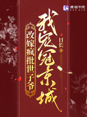 改嫁疯批世子爷，我宠冠京城章节列表