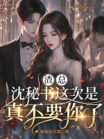 渣总，沈秘书这次是真不要你了章节列表