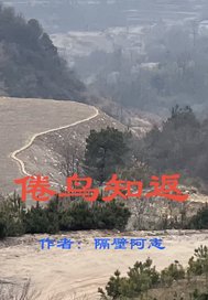 倦鸟知返章节列表