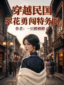 穿越民国：翠花勇闯特务圈章节列表