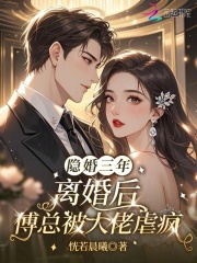 隐婚三年，离婚后傅总被大佬虐疯章节列表