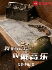 我的排长戴高乐章节列表