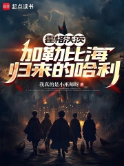 霍格沃茨：加勒比海归来的哈利章节列表