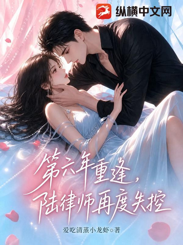 第六年重逢，陆律师再度失控章节列表