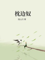 枕边奴章节列表