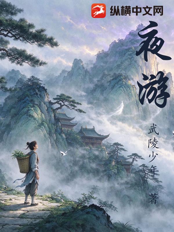 夜游章节列表