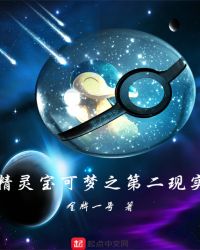 精灵宝可梦之第二现实章节列表