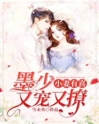 墨少宠妻请温柔章节列表