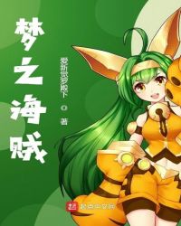 梦之海贼章节列表