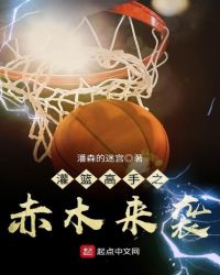 灌篮高手之赤木来袭章节列表