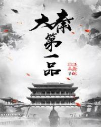 大秦第一品章节列表