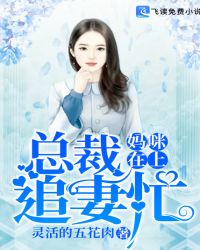 妈咪在上，总裁追妻忙章节列表