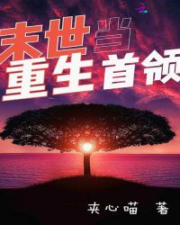 末世重生当首领章节列表