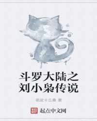 斗罗大陆之刘小枭传说章节列表