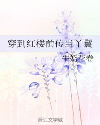 穿到红楼前传当丫鬟章节列表