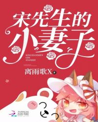 宋先生的小妻子章节列表