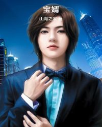 宝婿章节列表