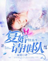 许先生，复婚请排队章节列表