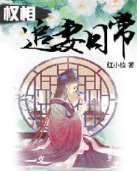 权相追妻日常章节列表