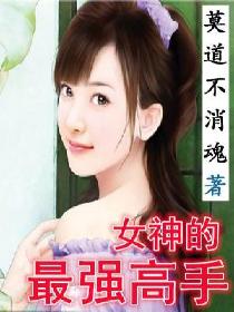 女神的最强高手章节列表