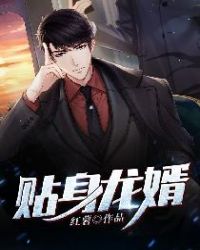 贴身龙婿章节列表