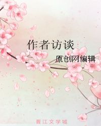 作者访谈章节列表