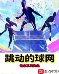 跳动的球网章节列表