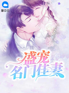 盛宠名门佳妻章节列表