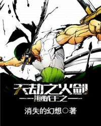 海贼王之流刃若火章节列表