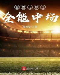 魔兽足球之全能中场章节列表