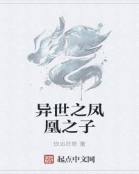 异世之凤凰之子章节列表