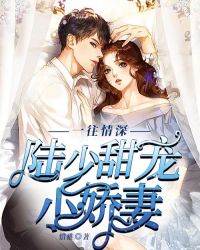 一往情深：陆少甜宠小娇妻章节列表