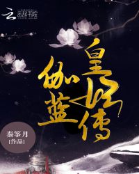 伽蓝皇妃传章节列表