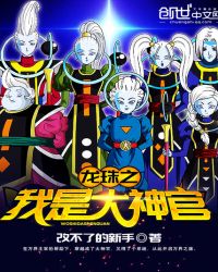 龙珠之我是大神官章节列表