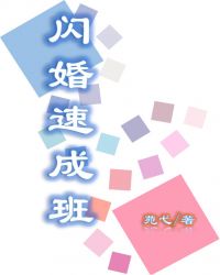 闪婚速成班章节列表