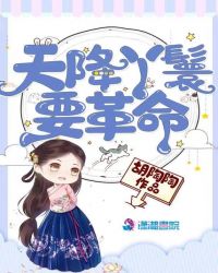 天降丫鬟要革命章节列表