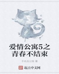 爱情公寓5之青春不结束章节列表