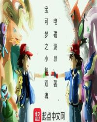 宝可梦之小智双魂章节列表