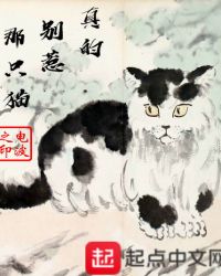 真的别惹那只猫章节列表