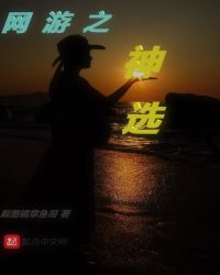 网游之神选章节列表