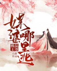 极品王爷：媒婆，哪里逃章节列表