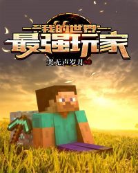 我的世界：最强玩家章节列表