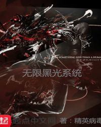 无限黑光系统章节列表