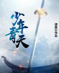 少年青天章节列表