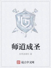 师道成圣章节列表
