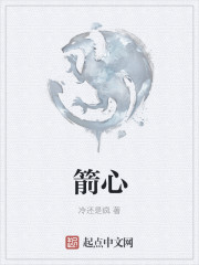 箭心章节列表