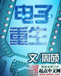 电子重生章节列表