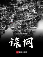 谍网章节列表