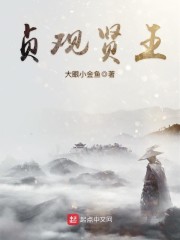 贞观贤王章节列表
